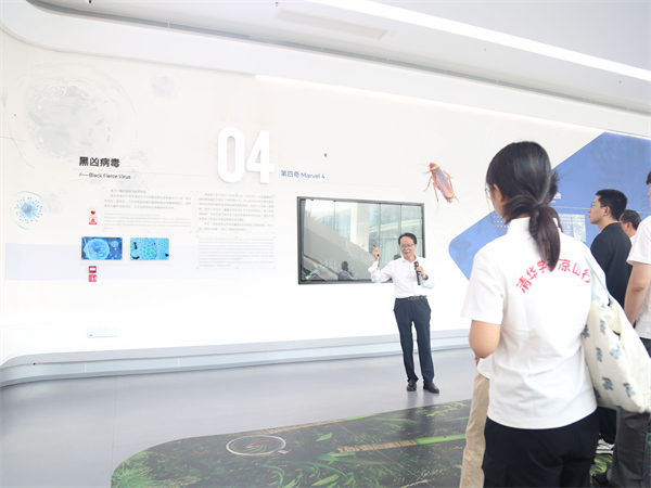 1754461404785315.jpg 4.jpg